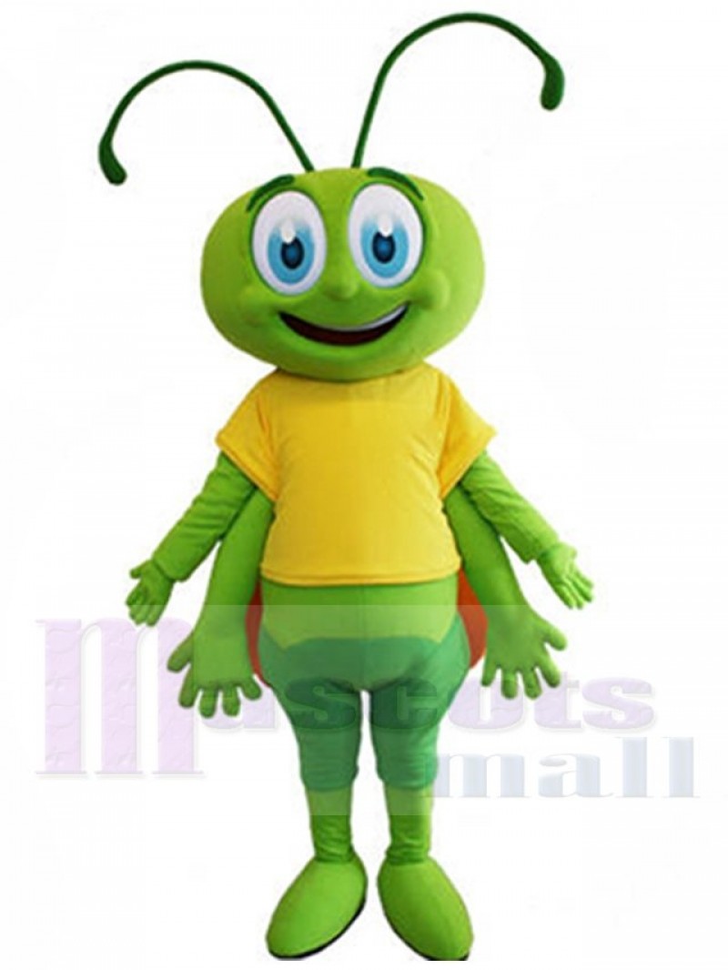 Bee mascot costume