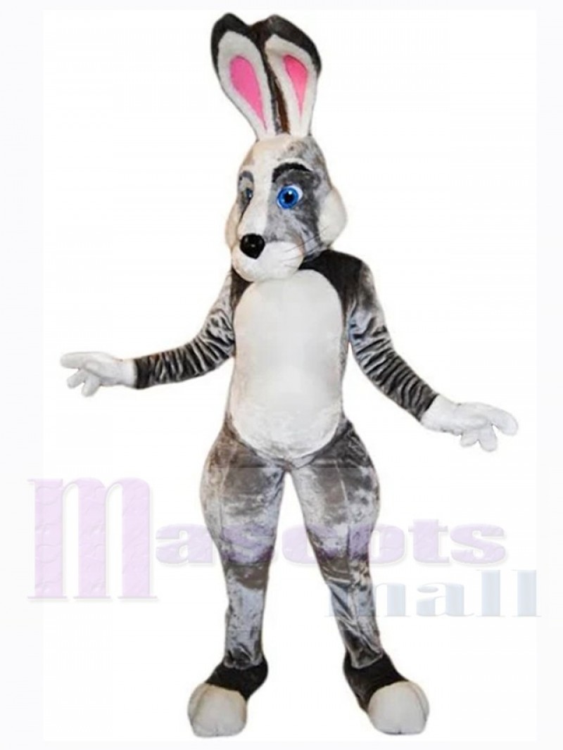 Easter Bunny Rabbit mascot costume