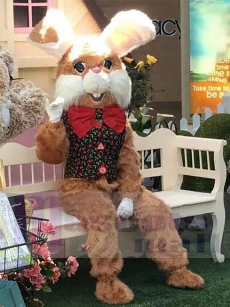 Easter Bunny Rabbit mascot costume