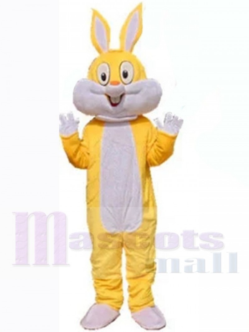 Easter Bunny Rabbit mascot costume