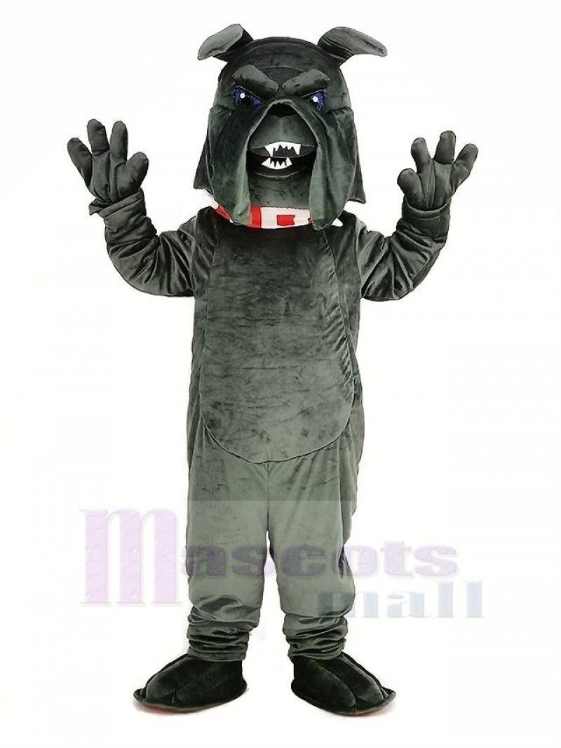 Dark Gray Bully Bulldog Mascot Costume Animal	