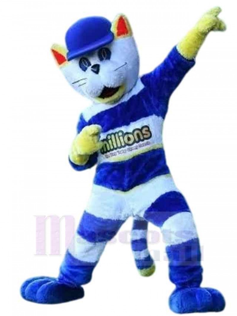 Cat mascot costume