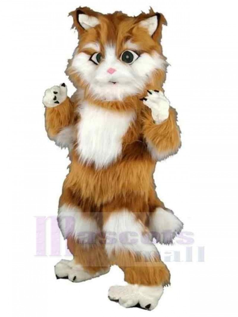 Cat mascot costume