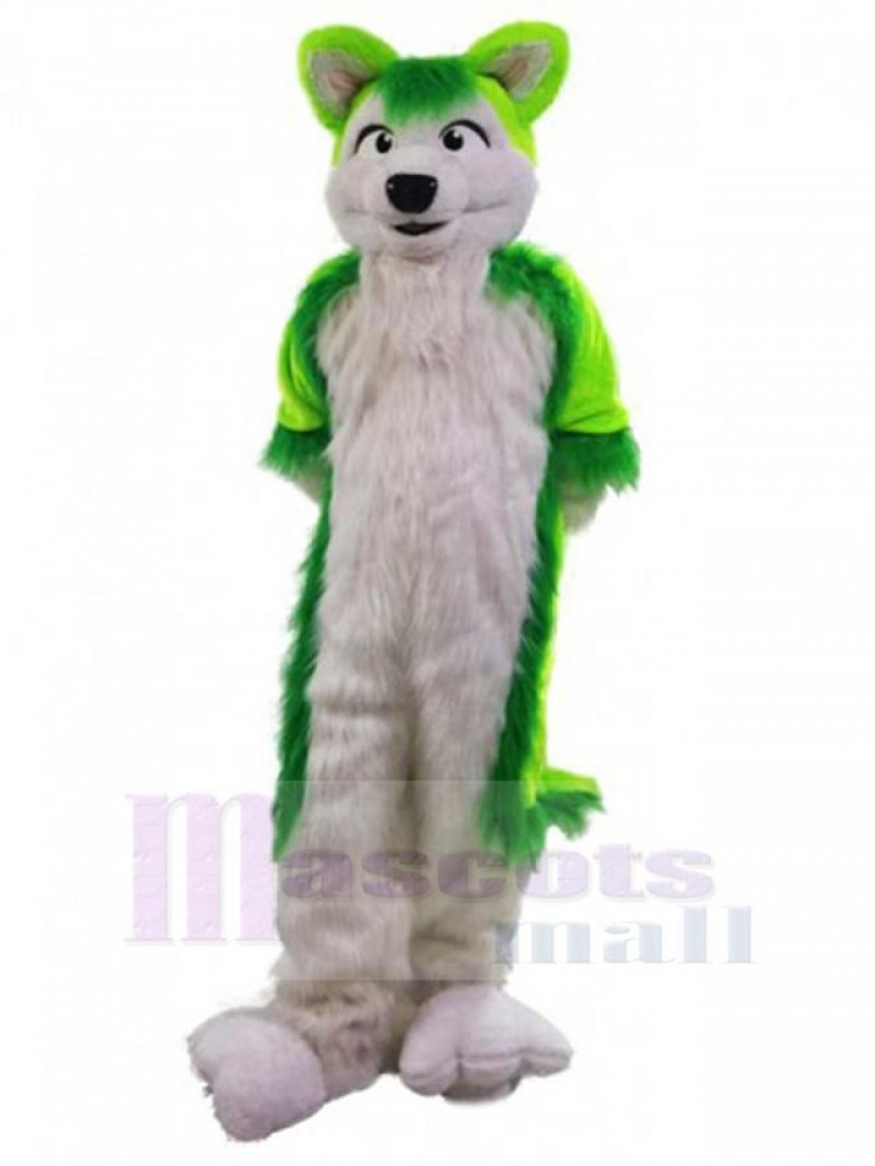 Wolf mascot costume