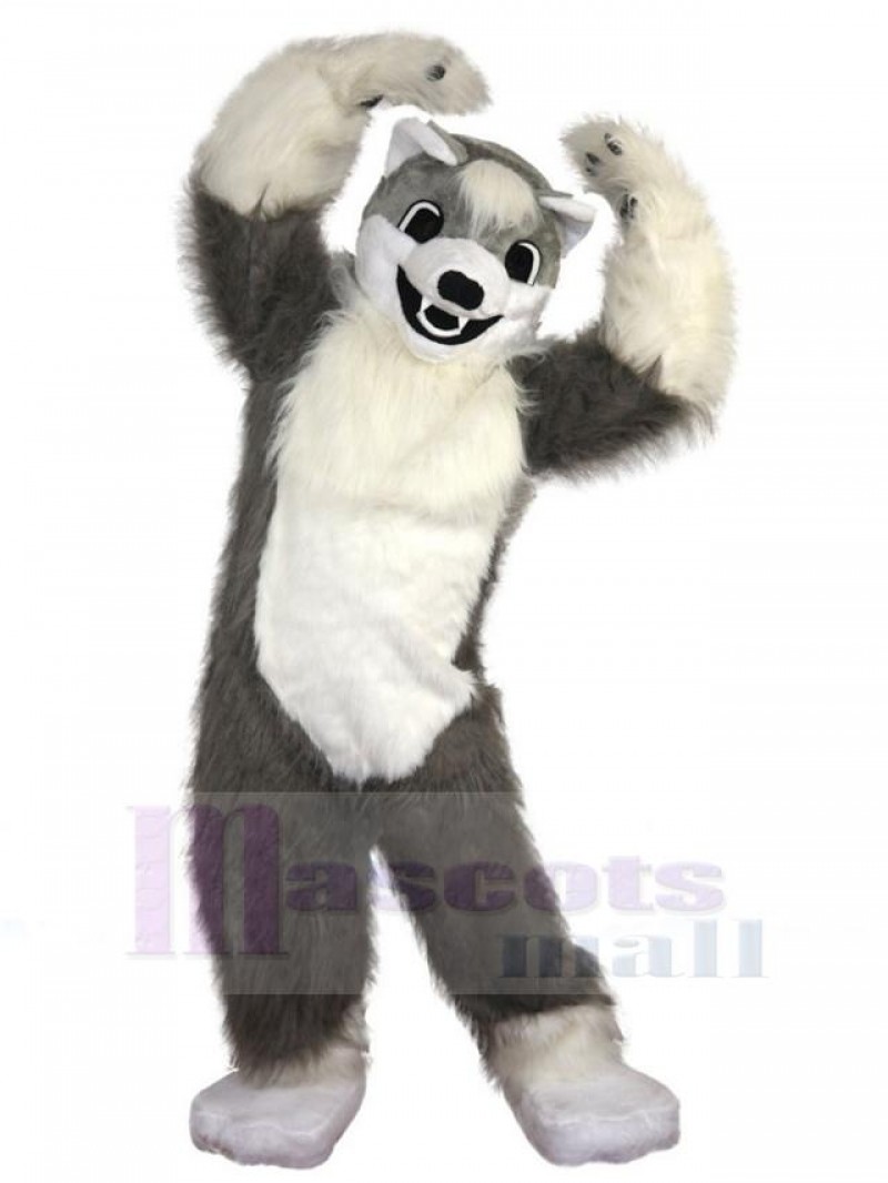 Wolf mascot costume