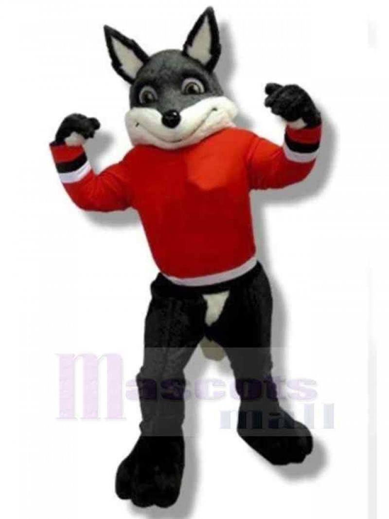 Wolf mascot costume