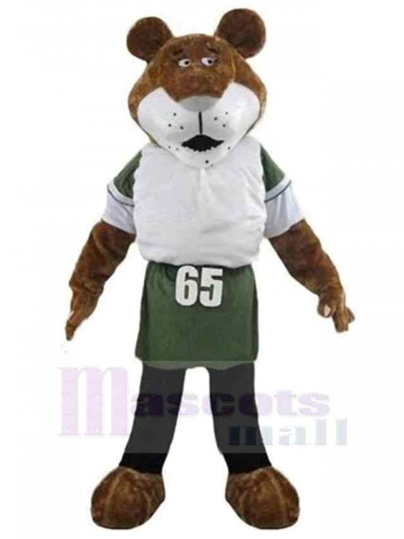 Tiger mascot costume