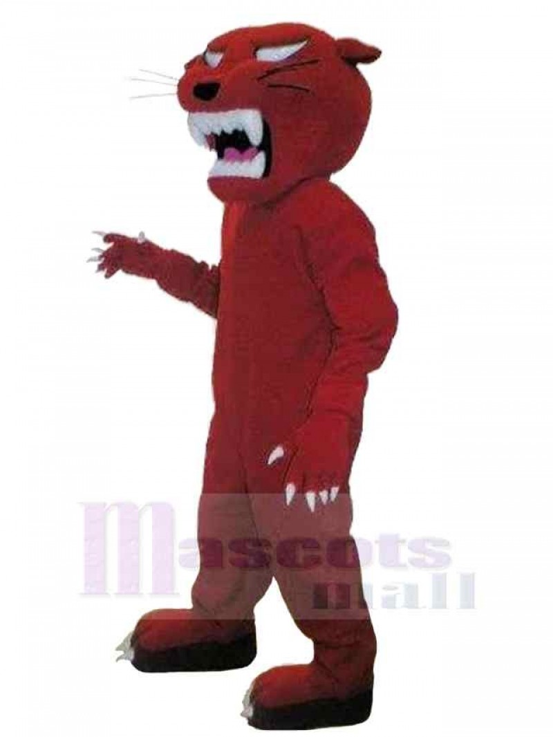 Panther mascot costume