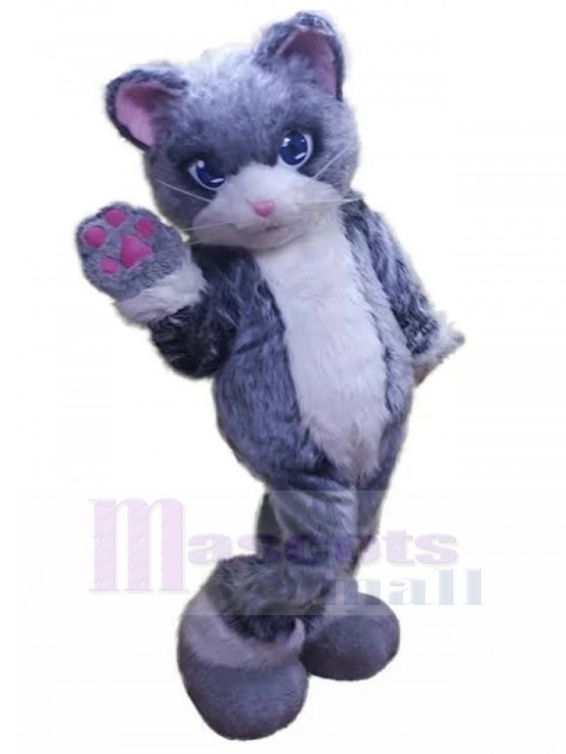 cat mascot costume