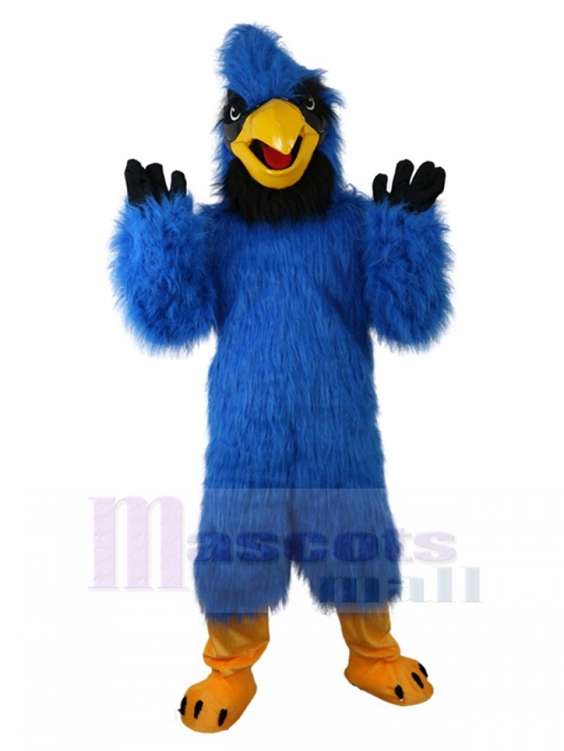 Eagle mascot costume