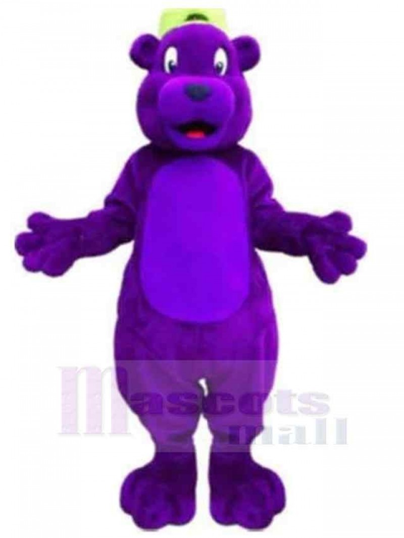 Bear mascot costume