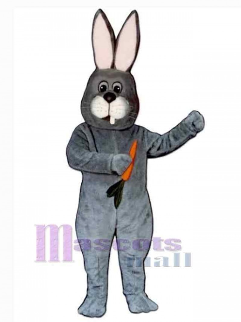 Easter Bunny Rabbit mascot costume