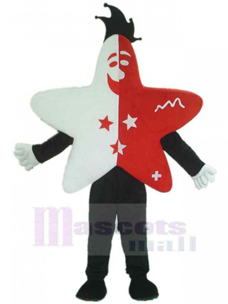 Star mascot costume