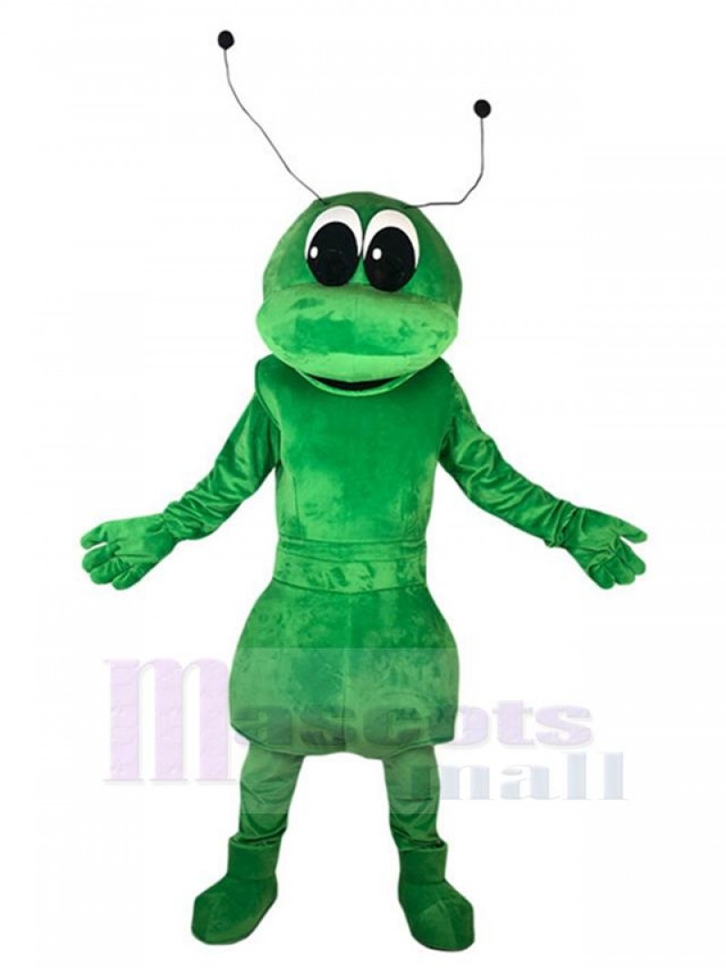 Ant mascot costume