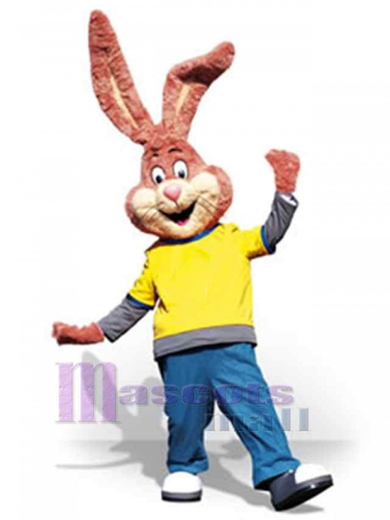 Easter Bunny Rabbit mascot costume