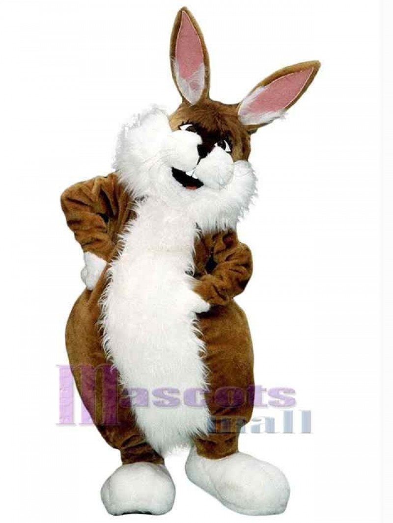 Easter Bunny Rabbit mascot costume