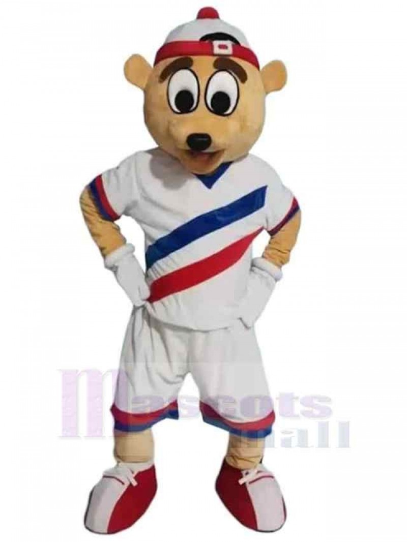 Bear mascot costume