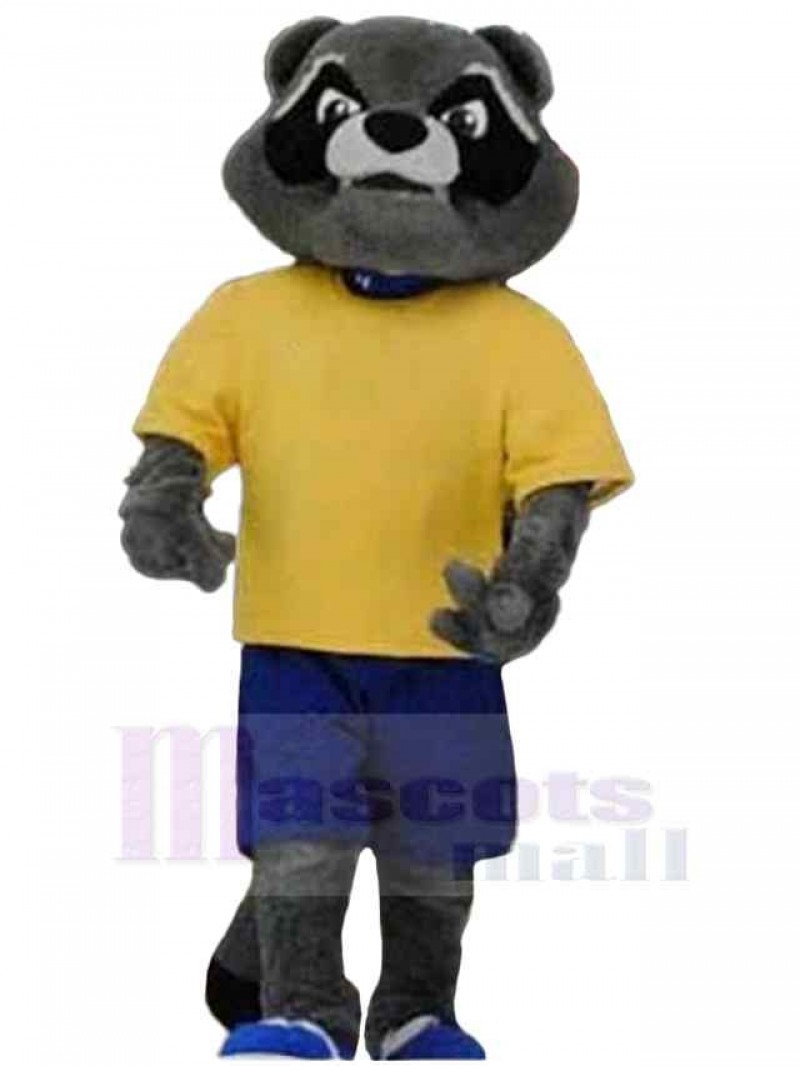 Raccoon mascot costume