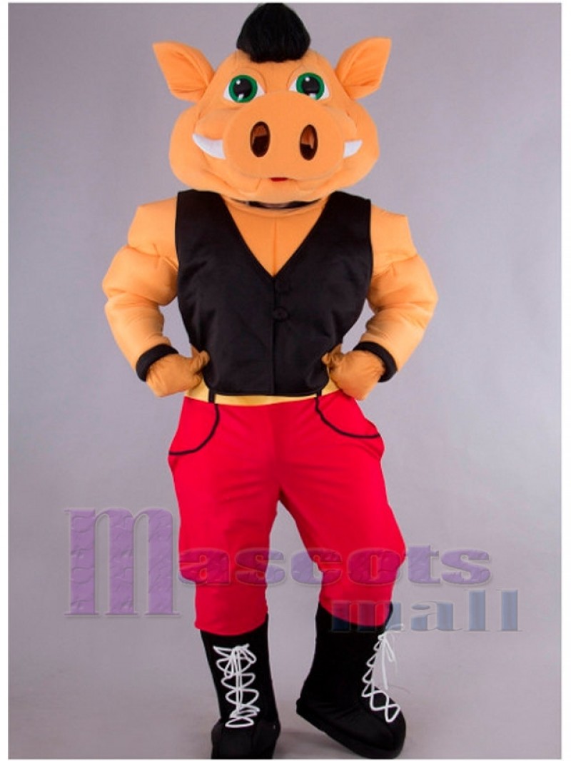 Pig mascot costume