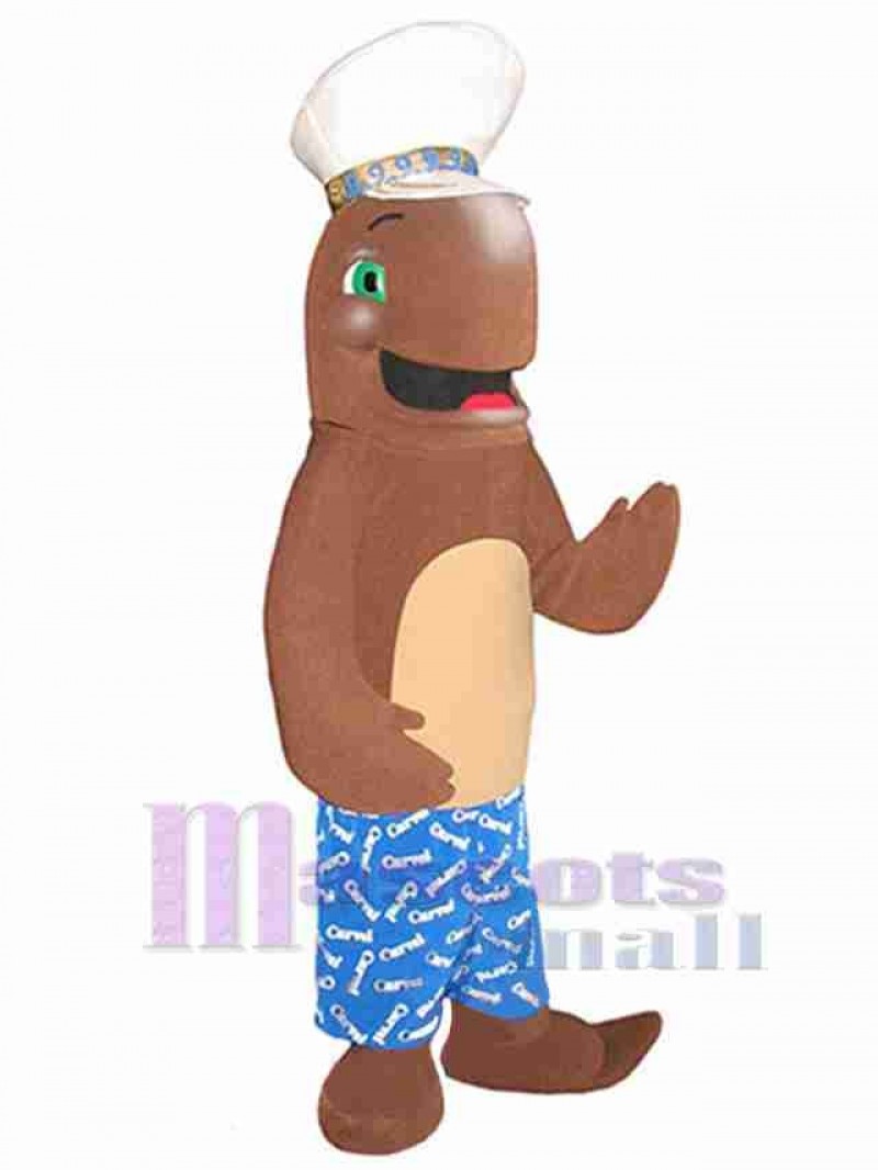 Dolphin mascot costume