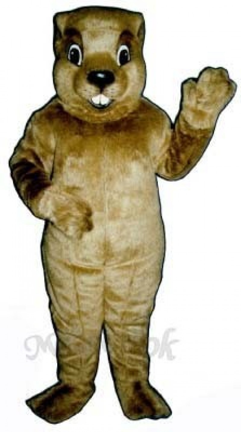 Groundhog Mascot Costume