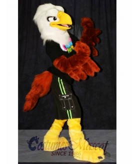 High Quality School Eagle Mascot Costume