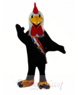 Black Cock Mascot Costumes 