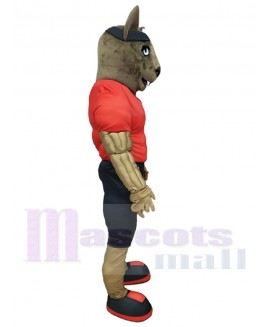 Wolf mascot costume