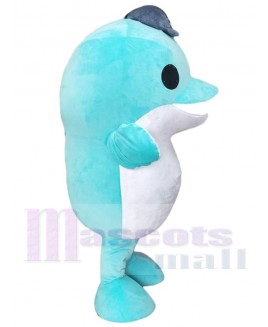 Dolphin mascot costume