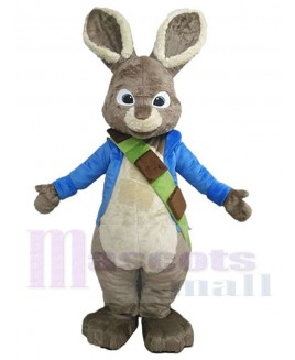 Easter Bunny Rabbit mascot costume