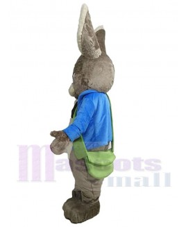 Easter Bunny Rabbit mascot costume