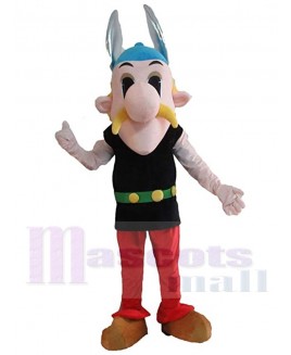 Asterix Obelix mascot costume