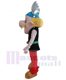 Asterix Obelix mascot costume