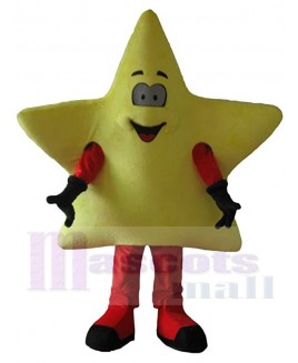 Star mascot costume