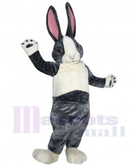 Bunny Rabbit mascot costume