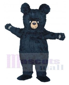 Bruce the Bear mascot costume