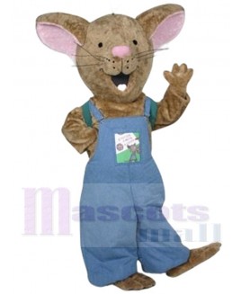 Mouse mascot costume