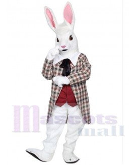 Rabbit mascot costume