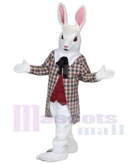 Rabbit mascot costume