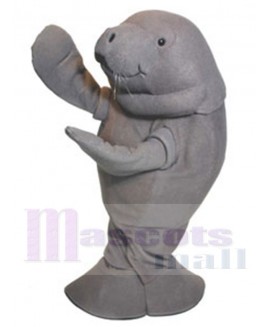 Manatee mascot costume