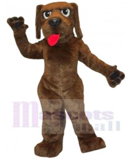 Hank Dog mascot costume