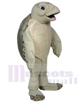 Luna The Sea Turtle mascot costume