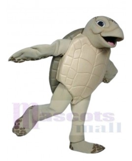 Luna The Sea Turtle mascot costume