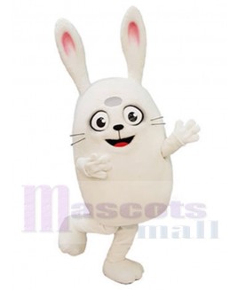 Rabbit mascot costume