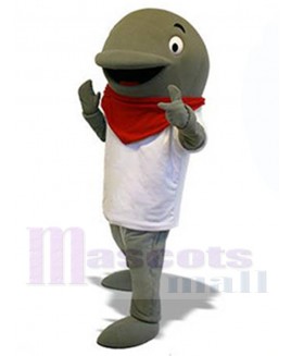 Dolphin mascot costume