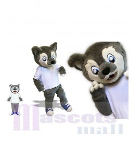 Wolf mascot costume