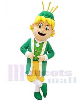 Boy mascot costume