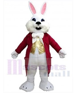 Easter Bunny Rabbit mascot costume