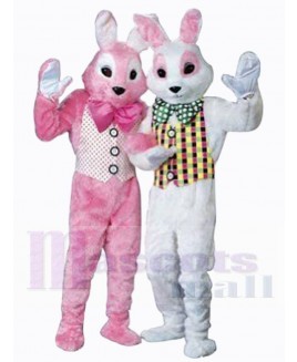 Easter Bunny Rabbit mascot costume