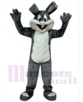 Easter Bunny Rabbit mascot costume